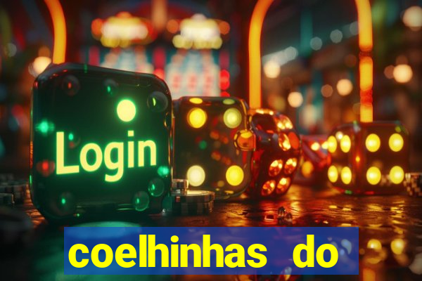 coelhinhas do brasil recife